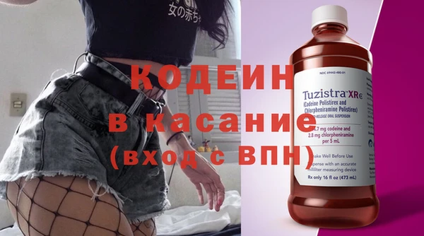 молекула духа Богородицк