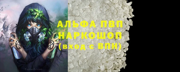 молекула духа Богородицк