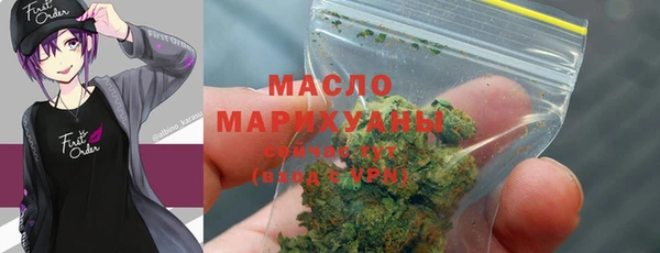 молекула духа Богородицк