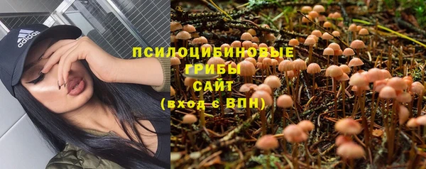 молекула духа Богородицк