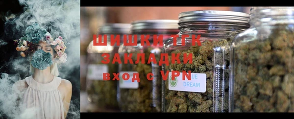 молекула духа Богородицк